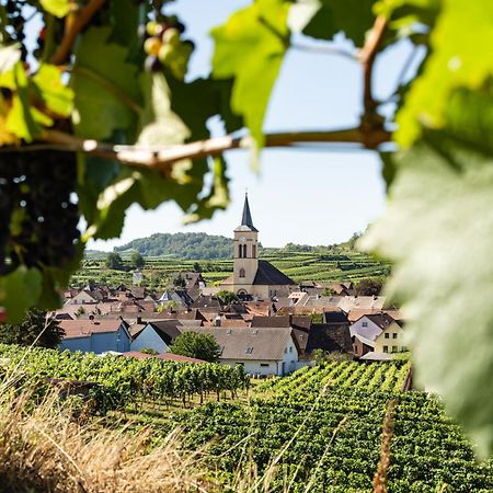 Braviscasa - Ferienresidenz Haus Am Bach Vogtsburg Am Kaiserstuhl Appartement Buitenkant foto