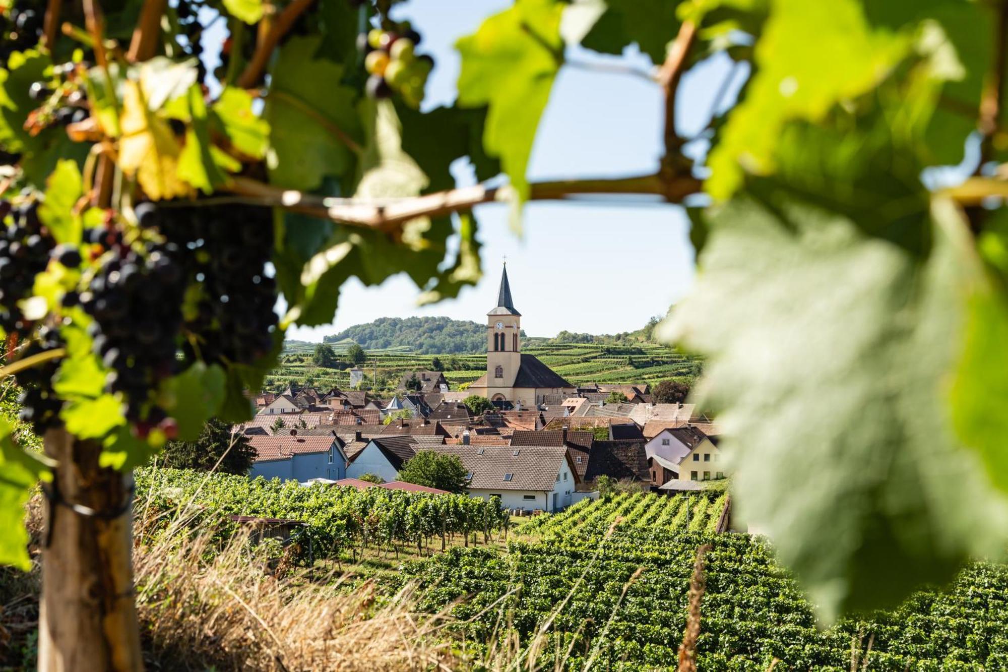 Braviscasa - Ferienresidenz Haus Am Bach Vogtsburg Am Kaiserstuhl Appartement Buitenkant foto